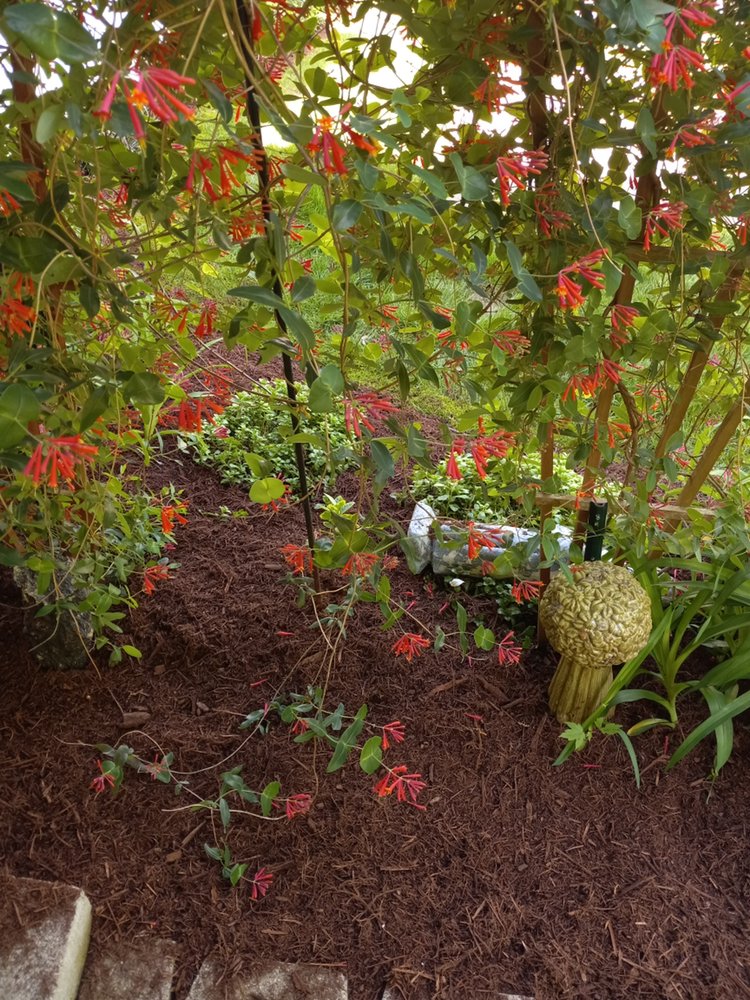 Photo of Blue Springs Landscaping and Tree Service