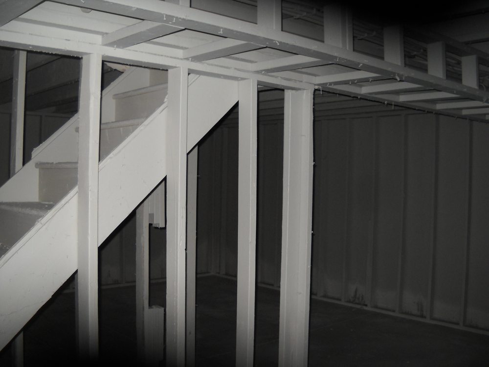 Photo of Residential Mold Services