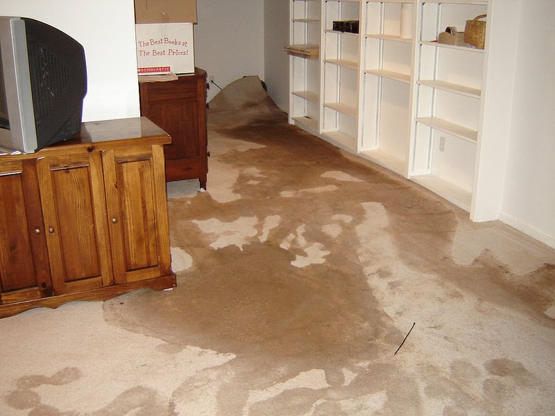 Photo of Residential Restorers