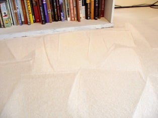 Photo of Alpha Carpet & Rug Cleaning