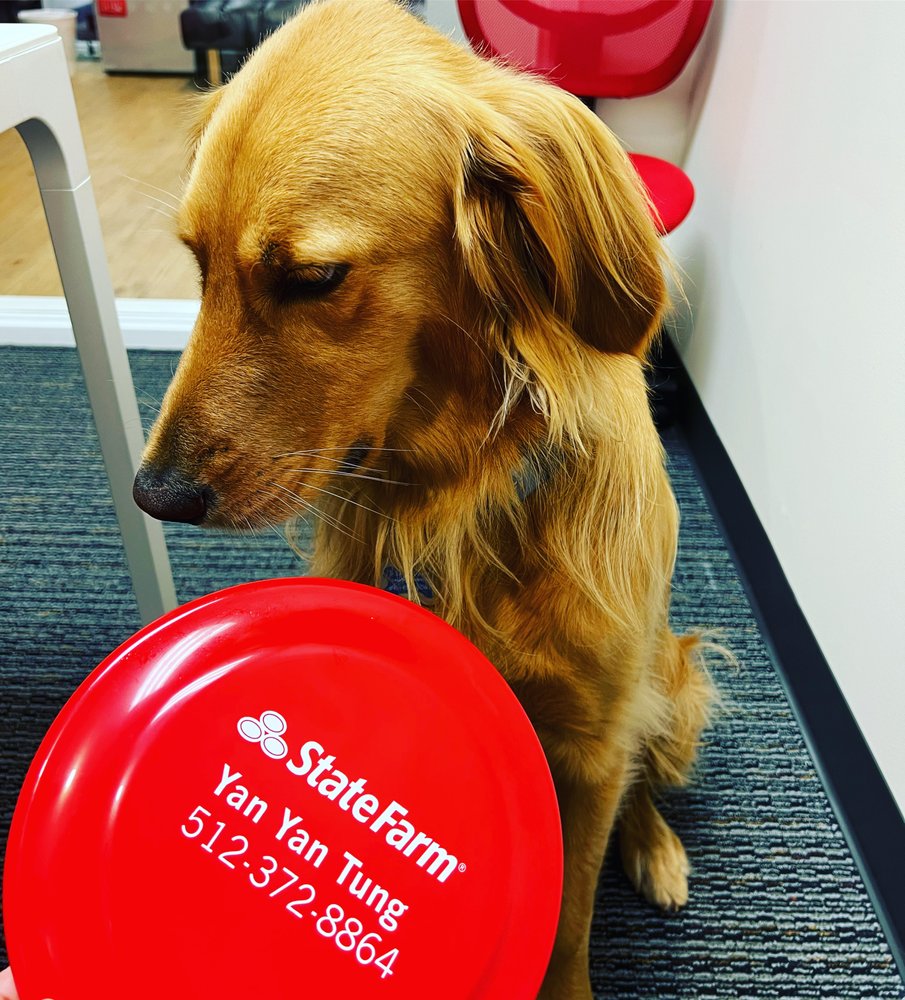 Photo of Yan Tung - State Farm Insurance Agent