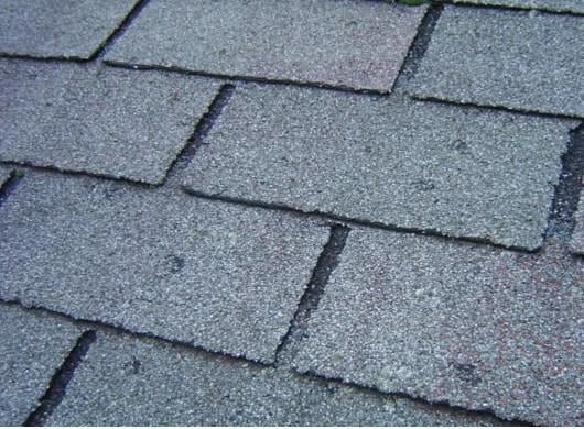 Photo of The Roof Guys