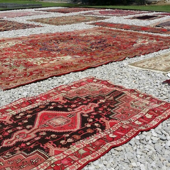 Photo of Fred Remmers Rug Clearners & Oriental Rug Gallery