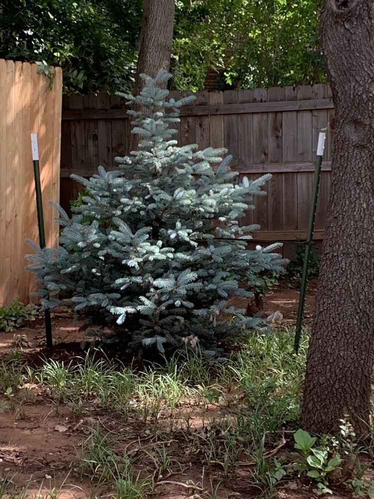 Photo of TLC Garden Centers