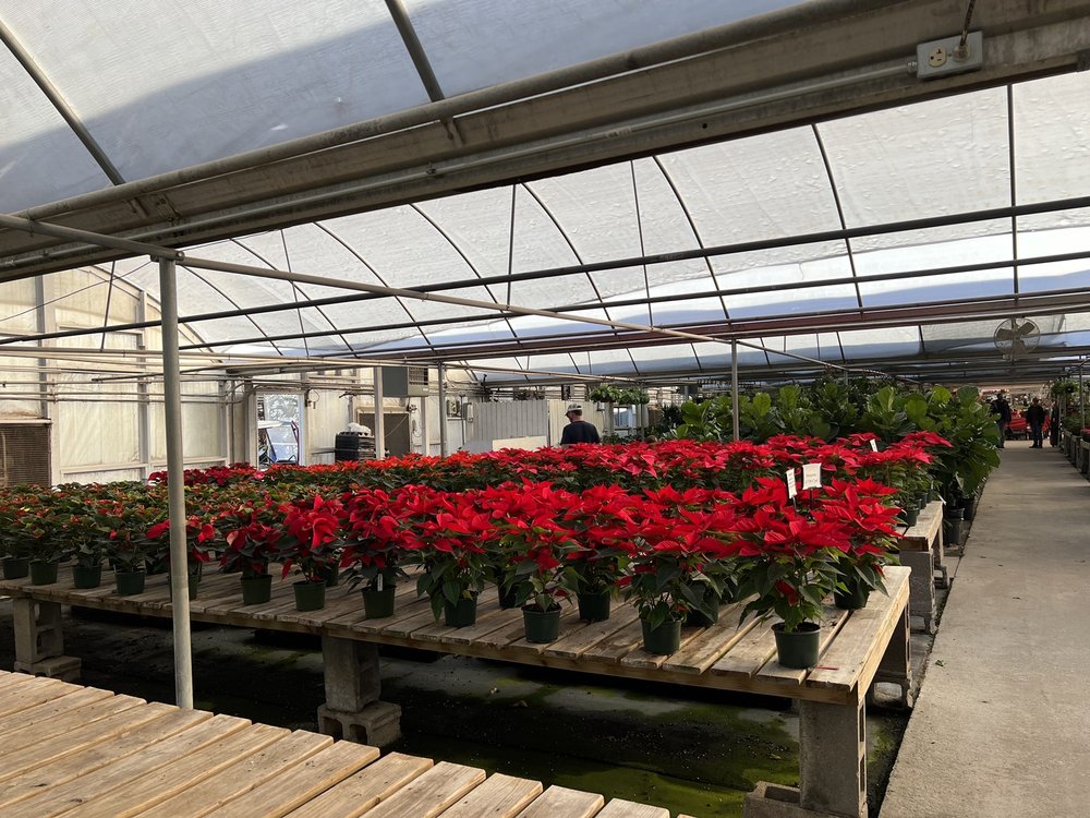 Photo of TLC Garden Centers