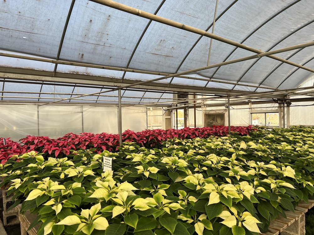 Photo of TLC Garden Centers