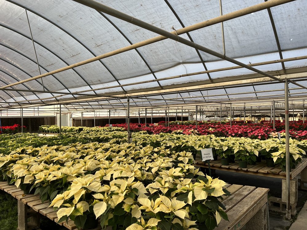 Photo of TLC Garden Centers