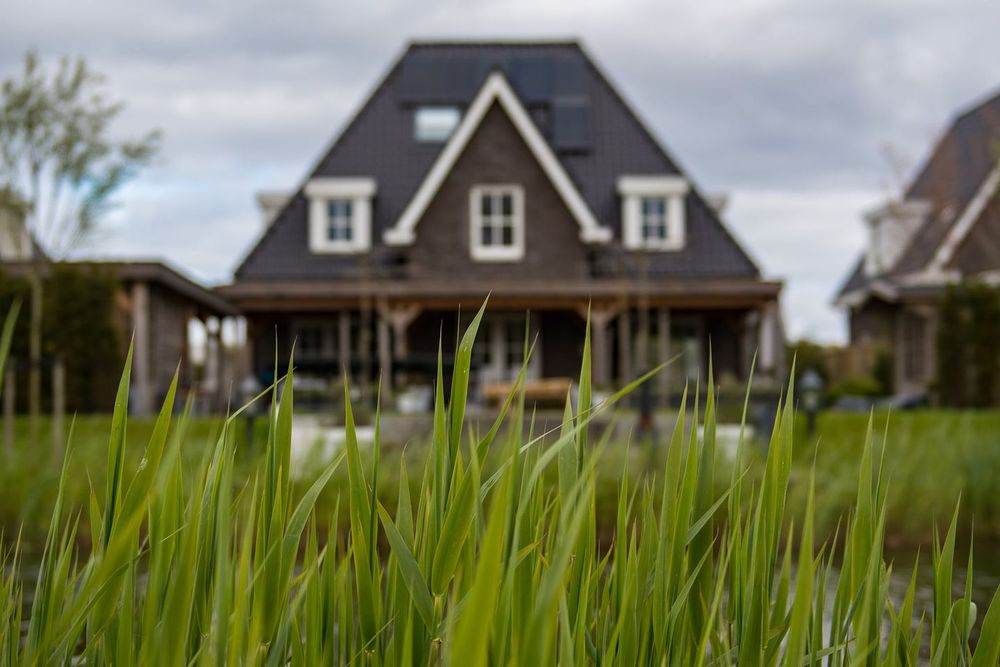 Photo of Advanced Lawn Solutions