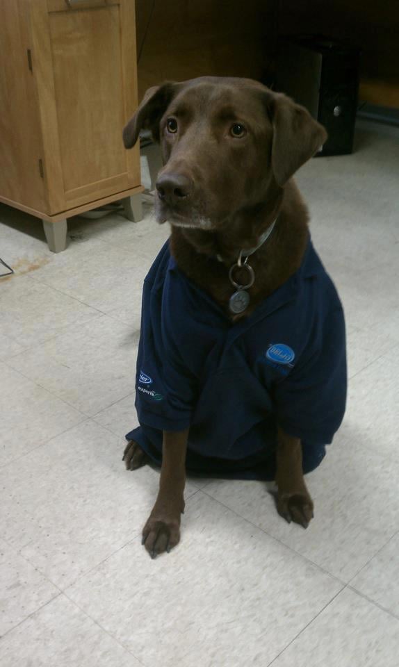 Photo of Deljo Heating & Cooling