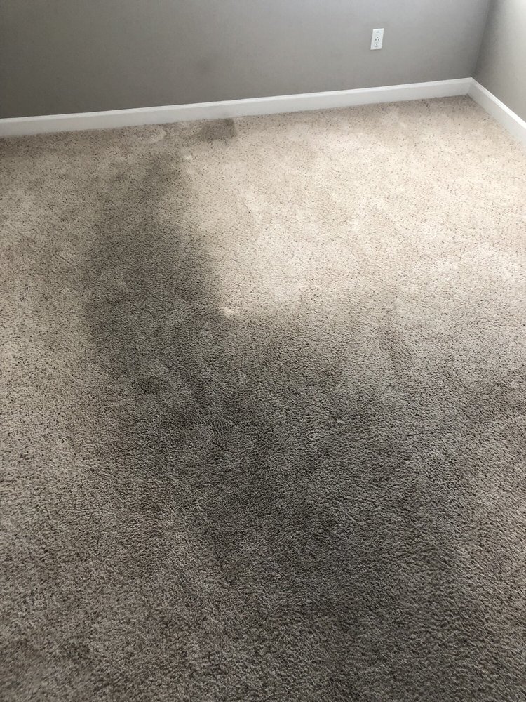 Photo of New Life Carpet Care