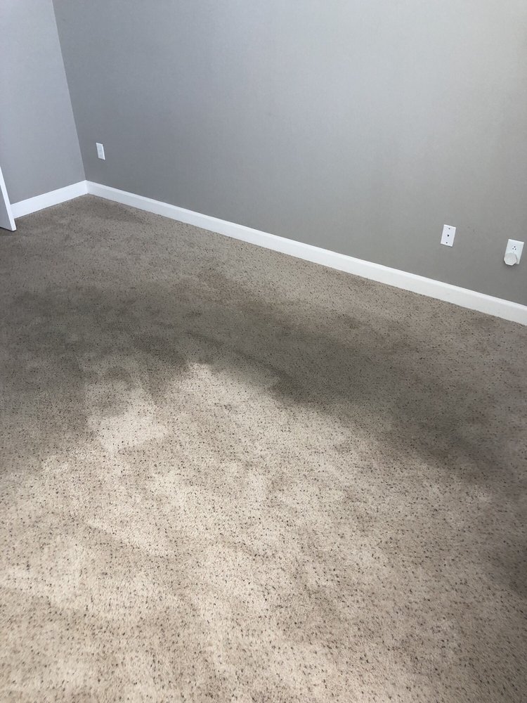 Photo of New Life Carpet Care
