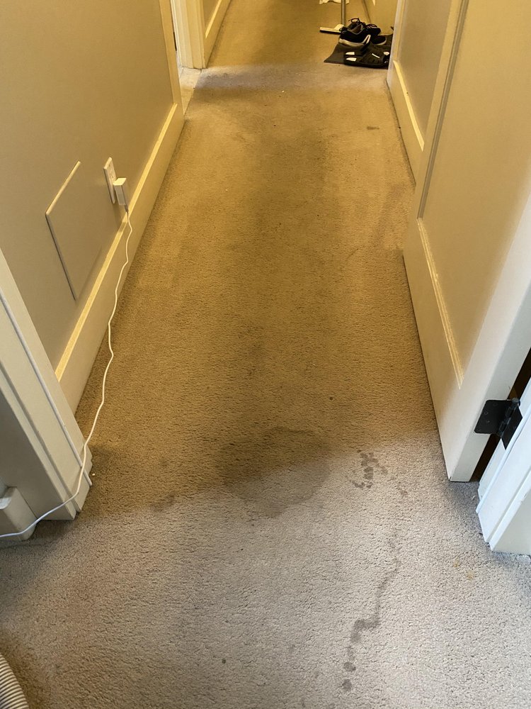 Photo of New Life Carpet Care