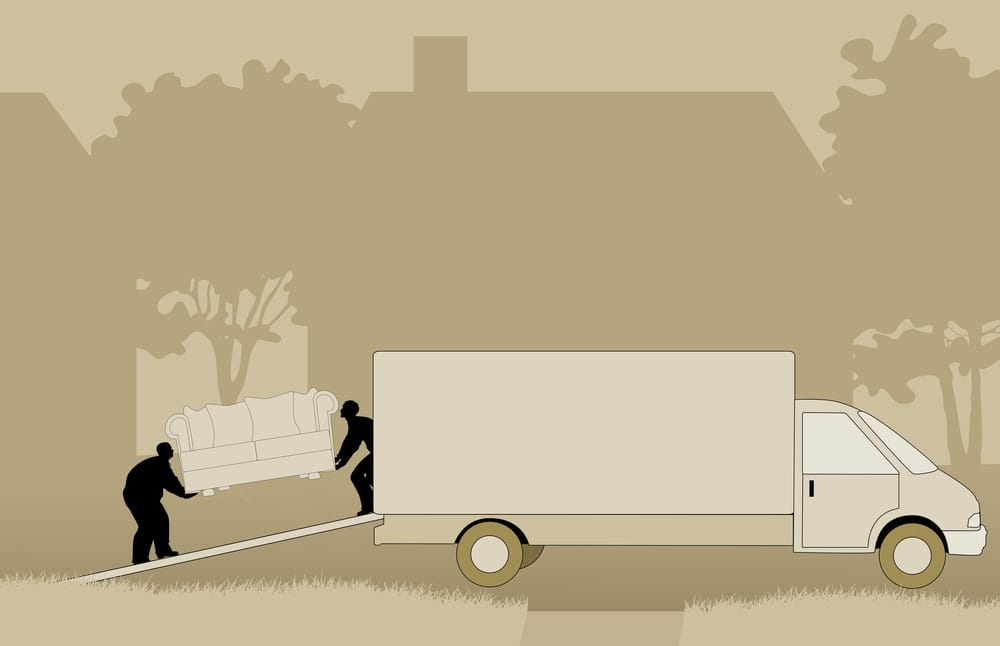 Photo of Two Brothers Moving