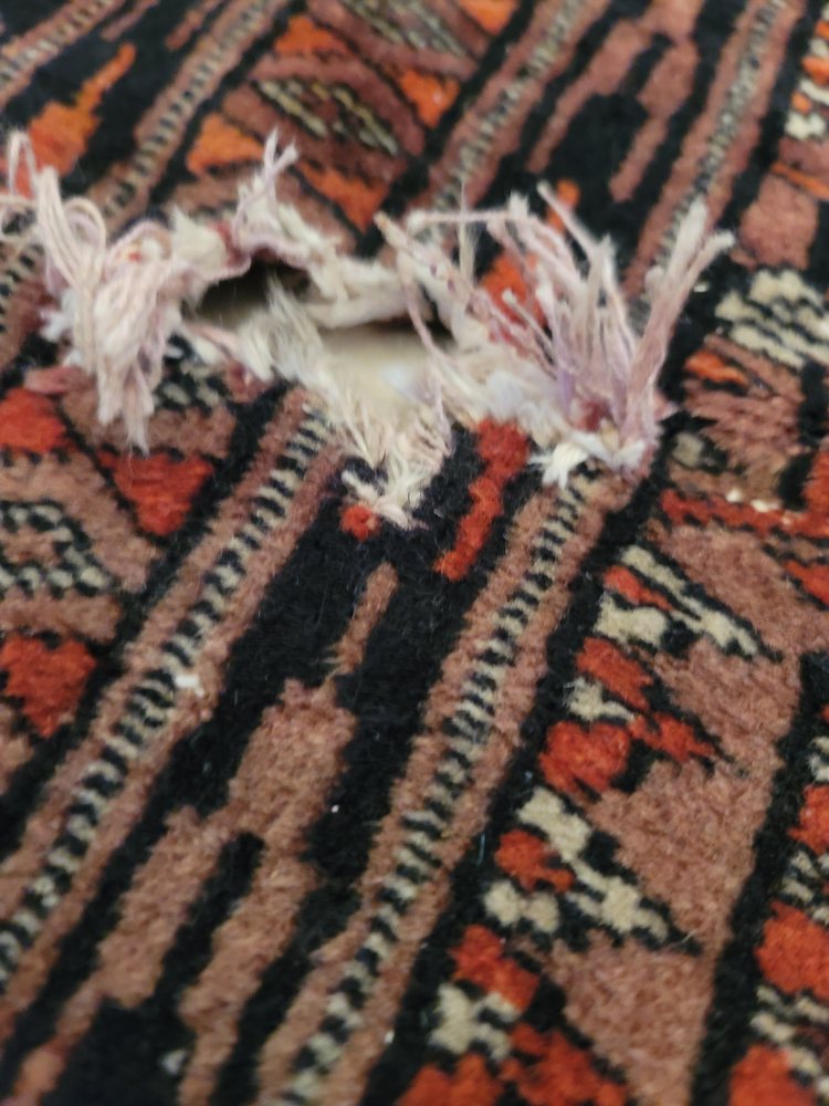 Photo of Shaia Oriental Rugs of Williamsburg