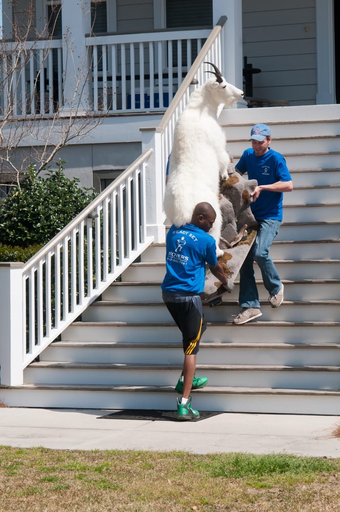 Photo of Ready Set Movers