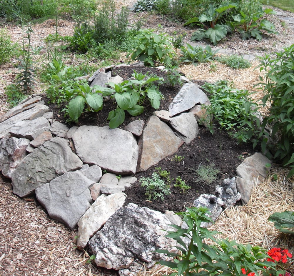 Photo of Deeply Rooted Design