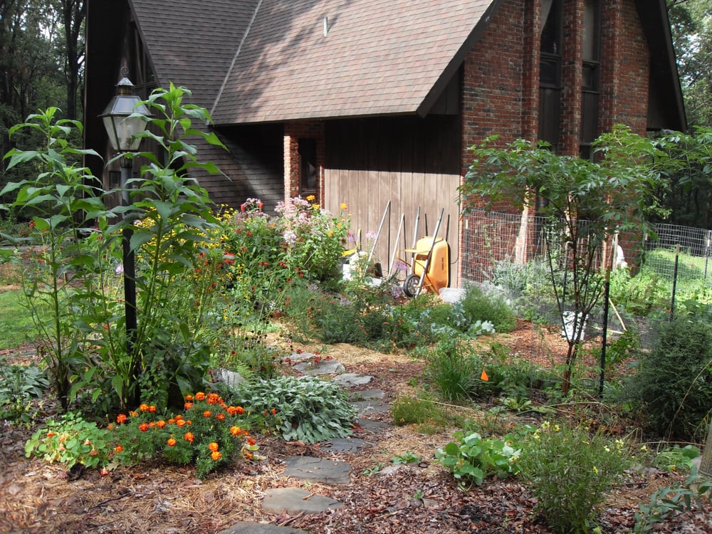 Photo of Deeply Rooted Design