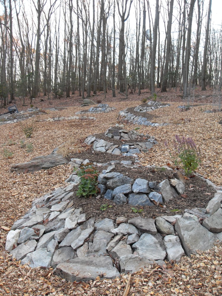 Photo of Deeply Rooted Design