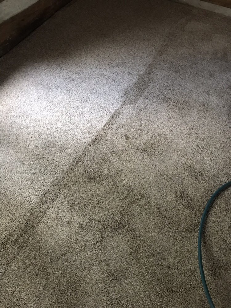 Photo of Carpet Solutions