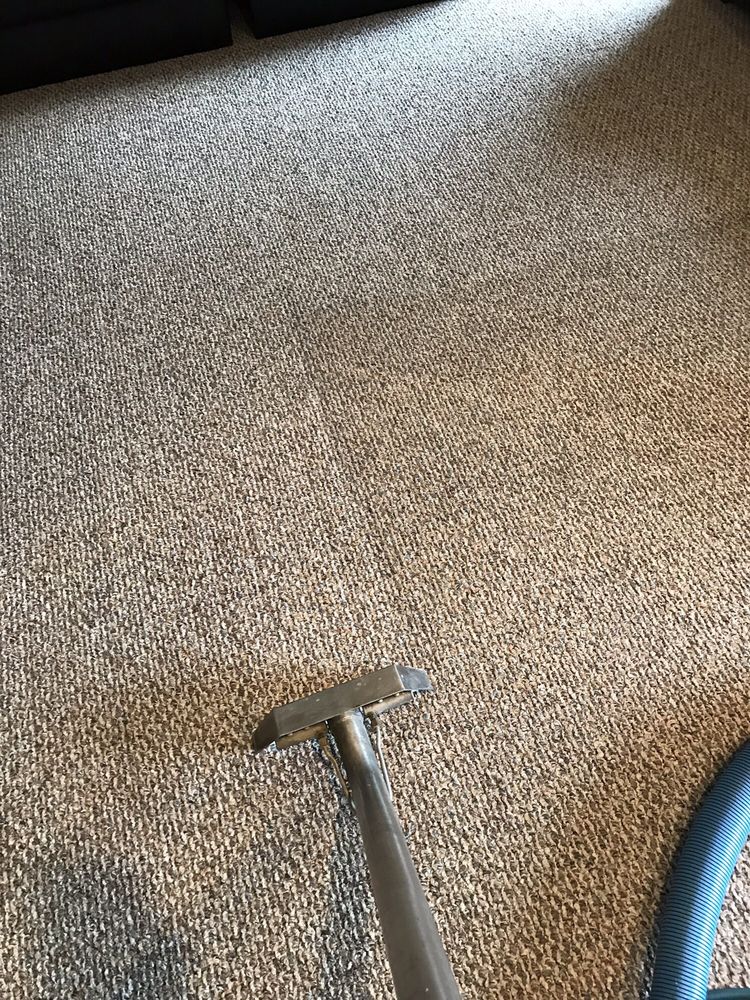 Photo of Carpet Solutions