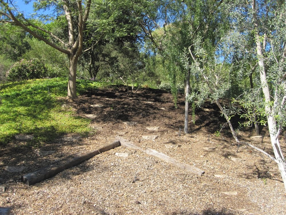 Photo of California Exteriors Landscape and Tree Service
