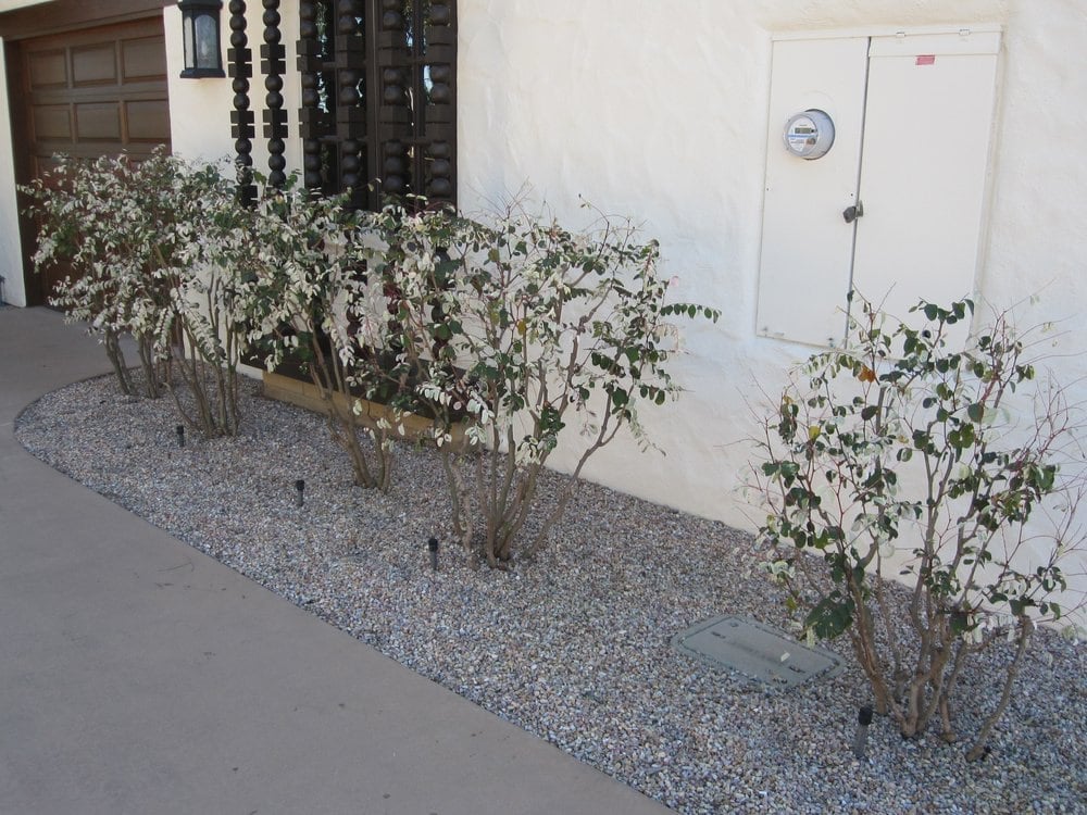 Photo of California Exteriors Landscape and Tree Service