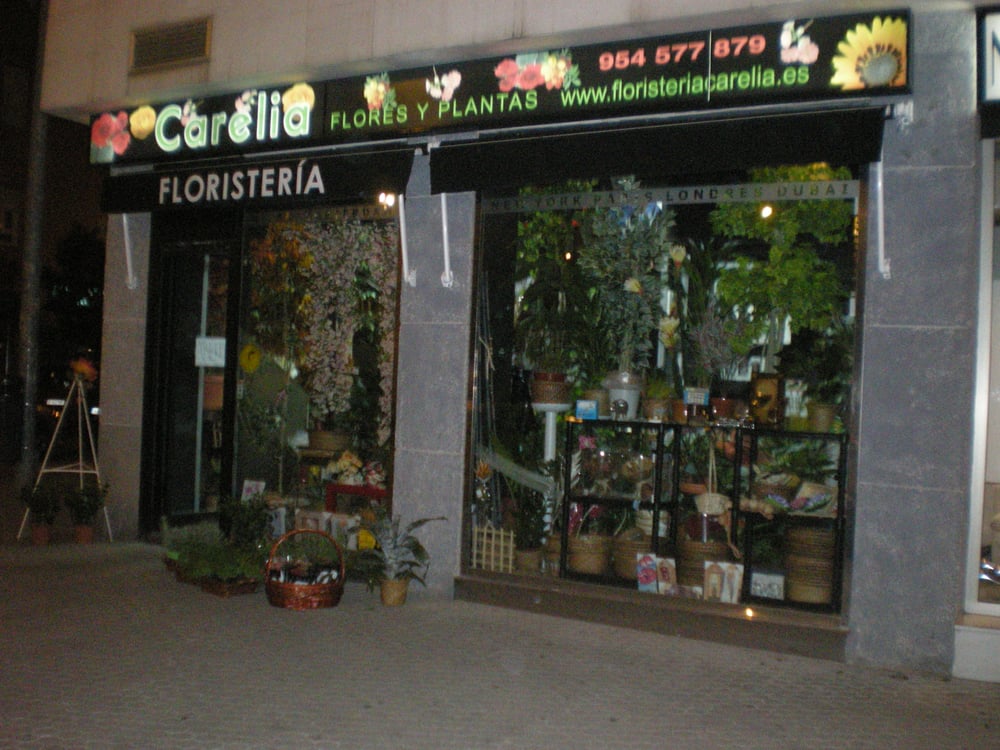 Photo of Carelia