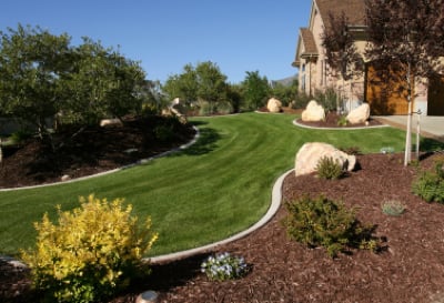 Photo of Affordable Lawn Care and Landscape