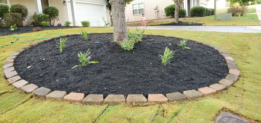 Photo of Manuel Landscaping