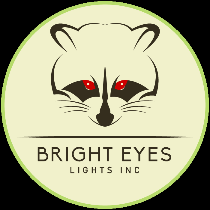 Photo of Bright Eyes Lights