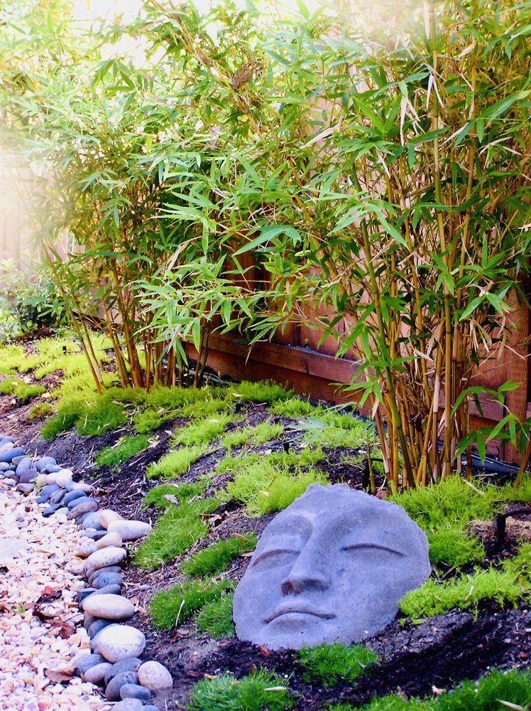 Photo of Judy's Gardens & Design