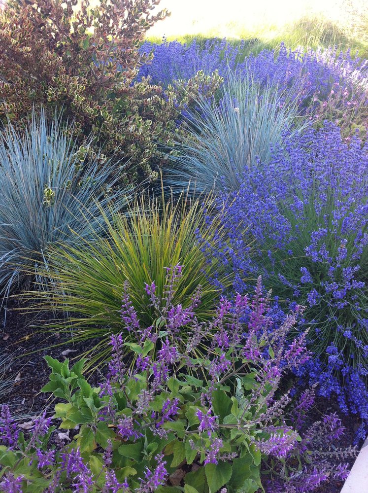 Photo of Judy's Gardens & Design