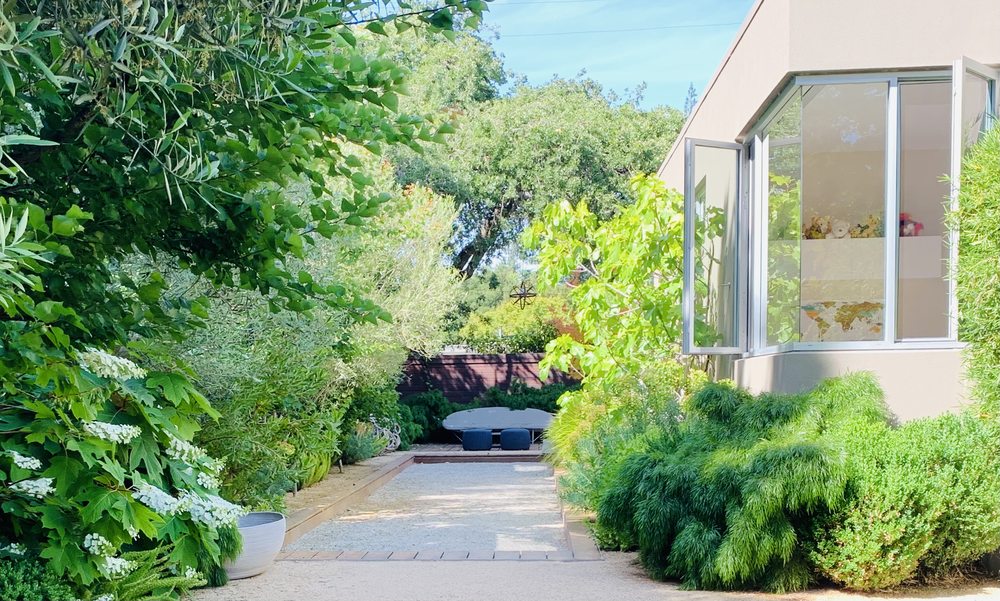 Photo of Judy's Gardens & Design