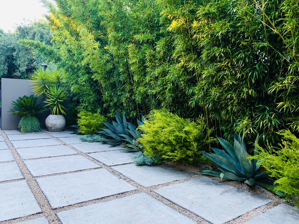 Photo of Judy's Gardens & Design