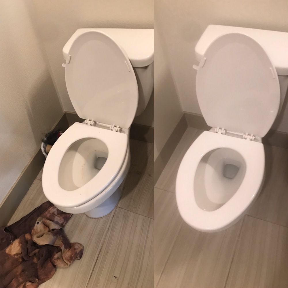 Photo of Clean Bee Home & Office Cleaning Services