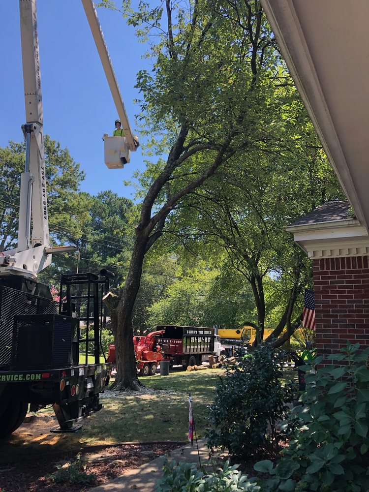 Photo of Brandon's Tree Service