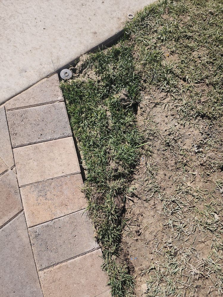 Photo of L. Raymond's Landscaping & Construction