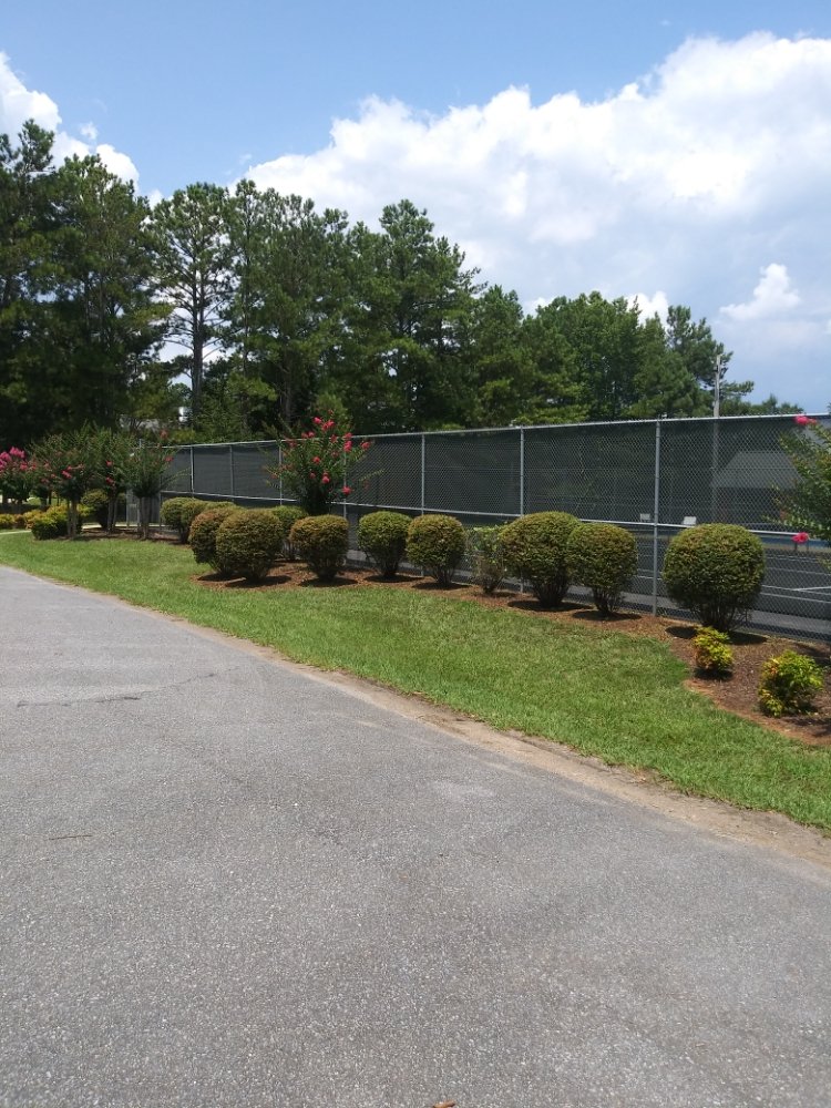 Photo of Five-Star Landscaping & Cleaning Services