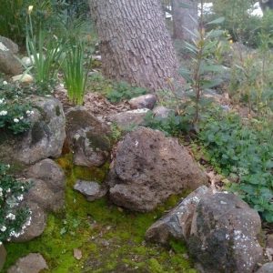 Photo of Cyprex Construction Landscapes