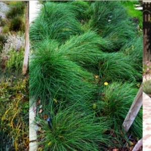 Photo of Cyprex Construction Landscapes