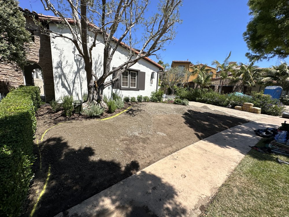 Photo of King Synthetic Grass