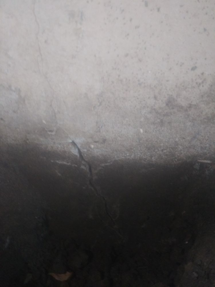 Photo of cruz foundation