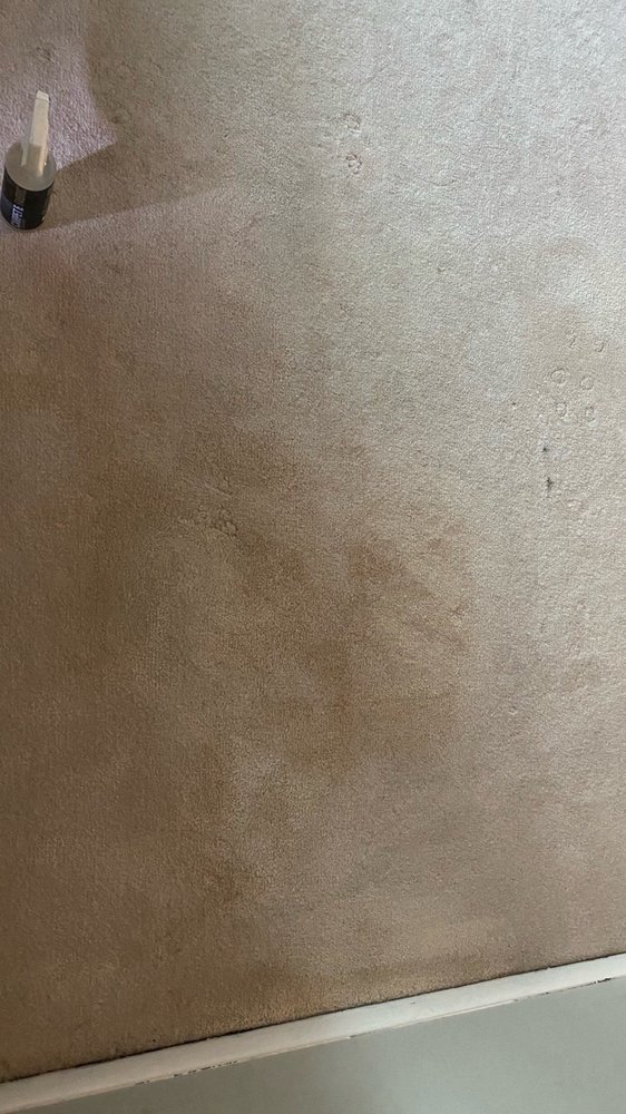 Photo of Ace Carpet Care