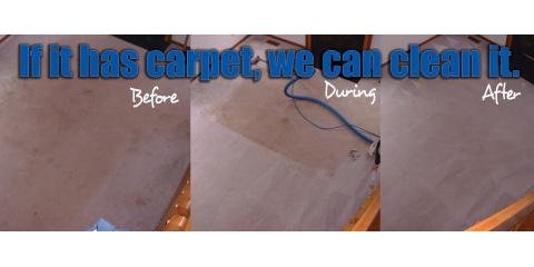 Photo of Ace Carpet Care