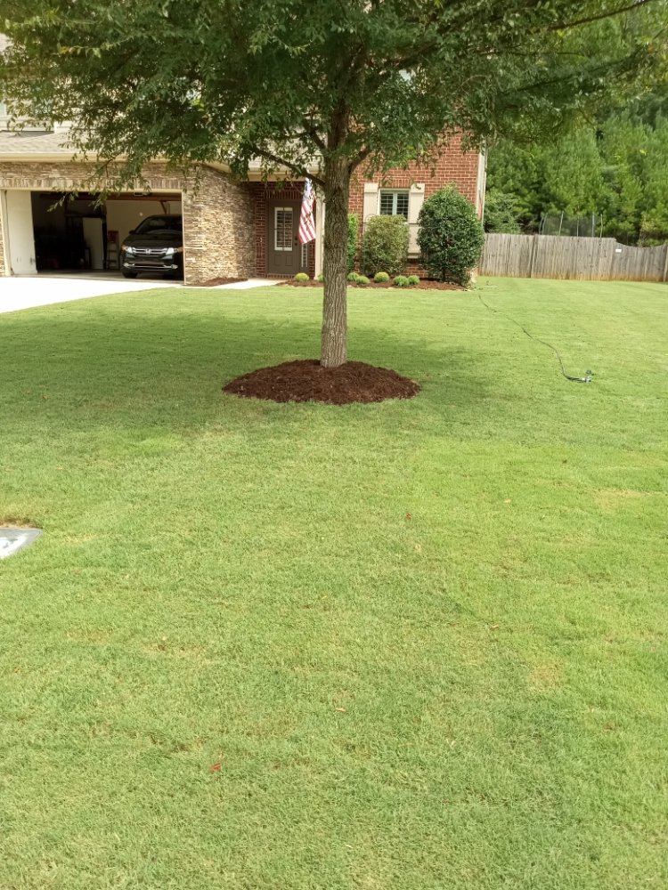 Photo of Nick's Yard Care