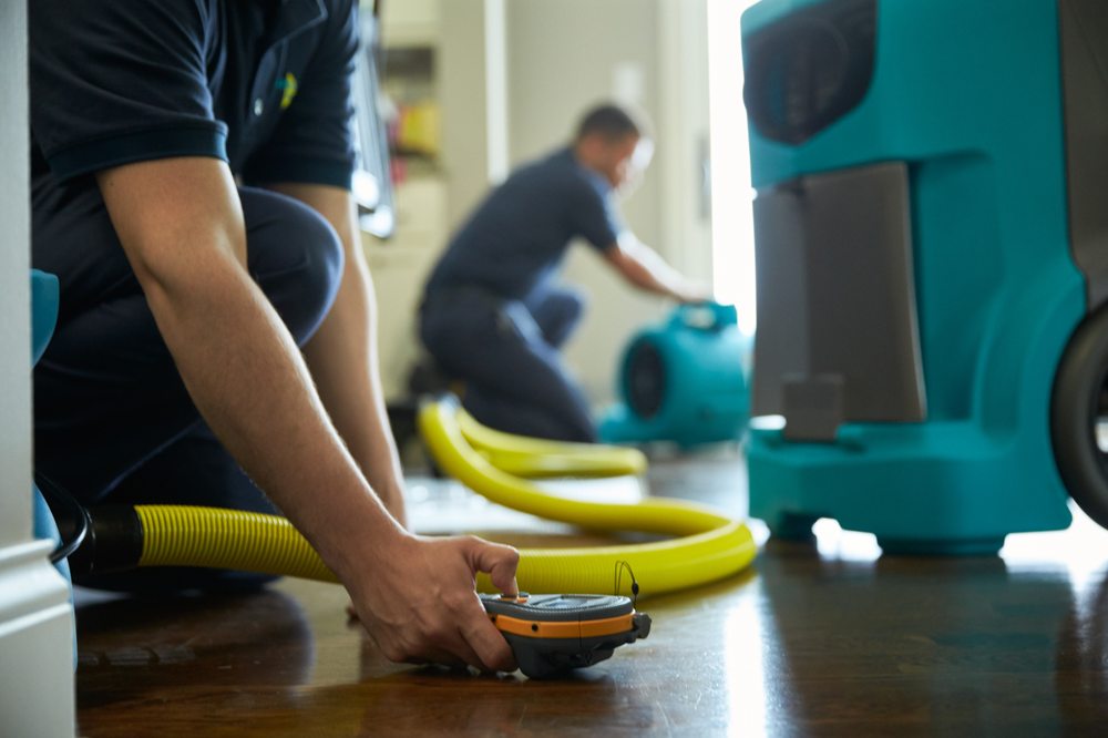 Photo of ServiceMaster Metropolitan