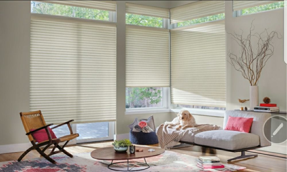 Photo of Superior View Window Fashions