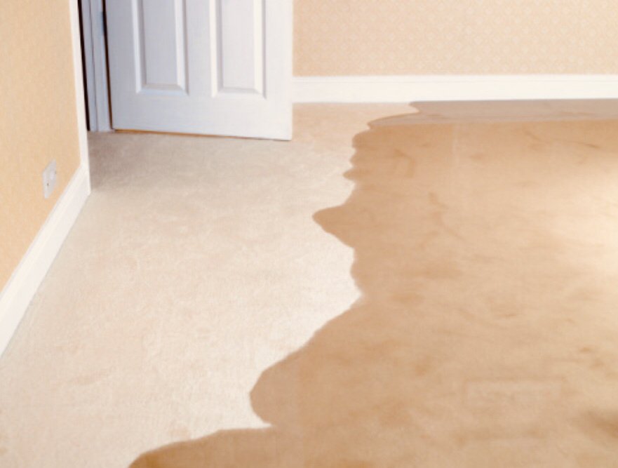 Photo of USA Green Clean