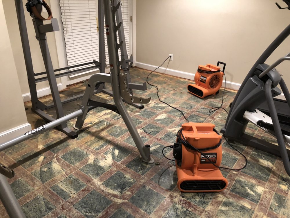 Photo of USA Green Clean