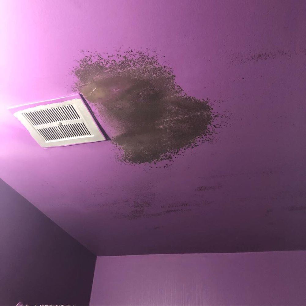 Photo of USA Green Clean